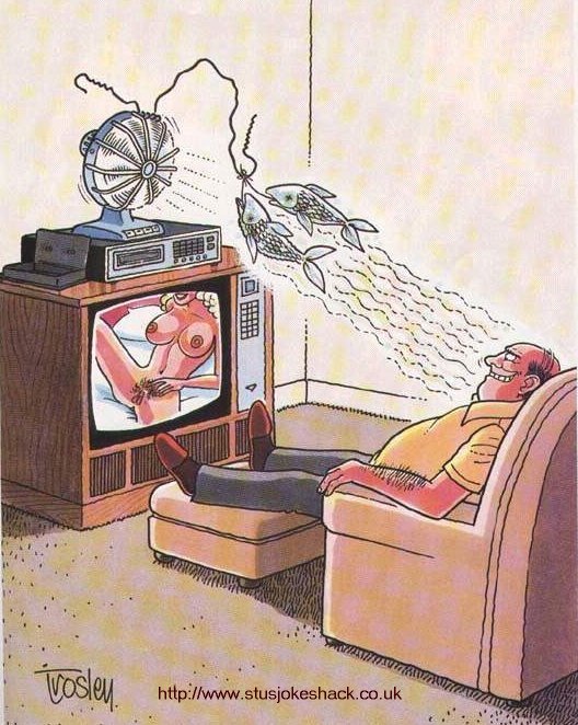 Pussyvision