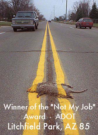 Roadkill