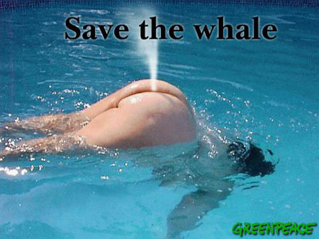 Save the Whale